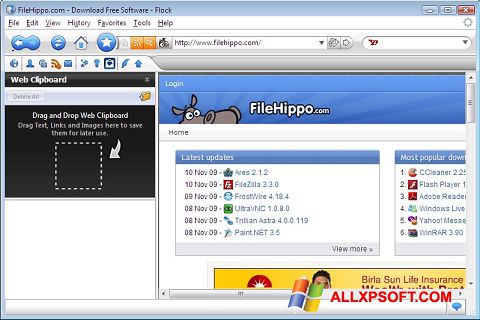 स्क्रीनशॉट Flock Windows XP