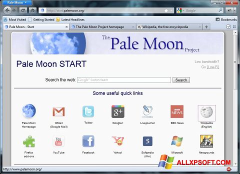 स्क्रीनशॉट Pale Moon Windows XP