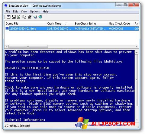 स्क्रीनशॉट BlueScreenView Windows XP