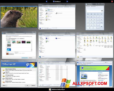 स्क्रीनशॉट Dexpot Windows XP