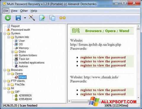स्क्रीनशॉट Multi Password Recovery Windows XP