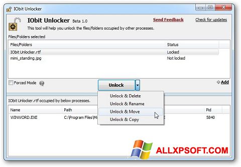 स्क्रीनशॉट IObit Unlocker Windows XP