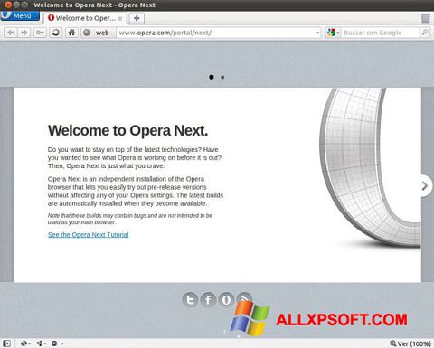 स्क्रीनशॉट Opera Developer Windows XP